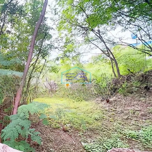 Dijual Tanah Kavling Luas 4,1 Ha Jalan Raya Pegangsaan Dua Kelapa Gading Jakarta Utara-1