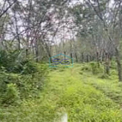 Dijual Tanah Luas 200 Ha Lokasi di Ciamis Jawa Barat