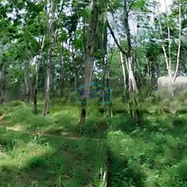 Dijual Tanah Luas 200 Ha Lokasi di Ciamis Jawa Barat-1