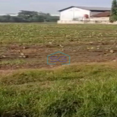 Dijual Kavling Multifungsi Untuk Pabrik, Gudang Lokasi Strategis Pasar Kemis Tangerang (Belakang Gajah Tunggal)