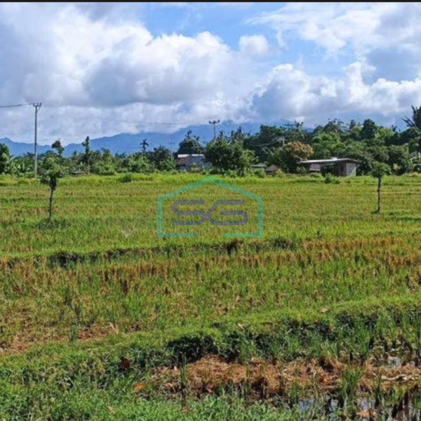 Dijual Tanah A Yani Raya Mataram Sikur Narmada Lombok Barat Ntb-1