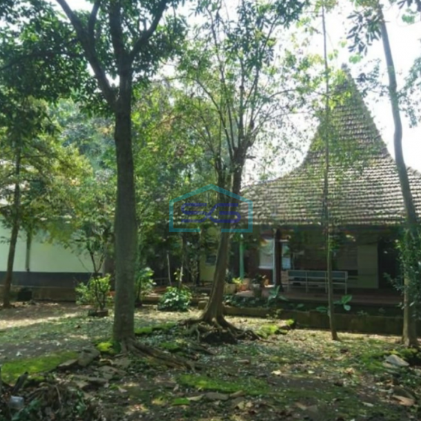 Dijual Tanah Lokasi Purwodadi Pasuruan Jawa Timur Luas  2564 m²-1