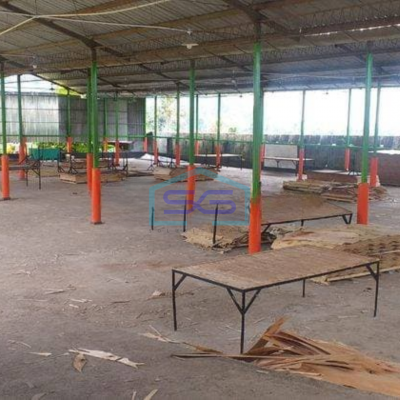 Dijual Pabrik Plywood Aktif Glenmore Kabupaten Banyuwangi
