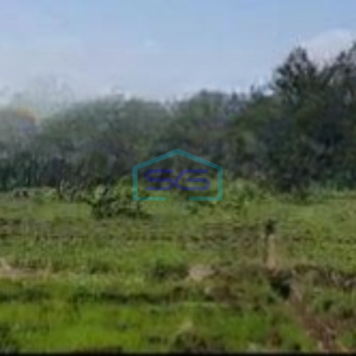 Dijual  Tanah dan Bangunan di Jl Raya Purwodadi, Kebun Raya Purwodadi