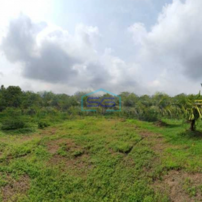 Dijual Tanah Luas 14837 m²di Kedungpring Lamongan Jawa Timur