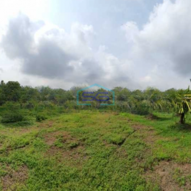 Dijual Tanah Luas 14837 m²di Kedungpring Lamongan Jawa Timur-2