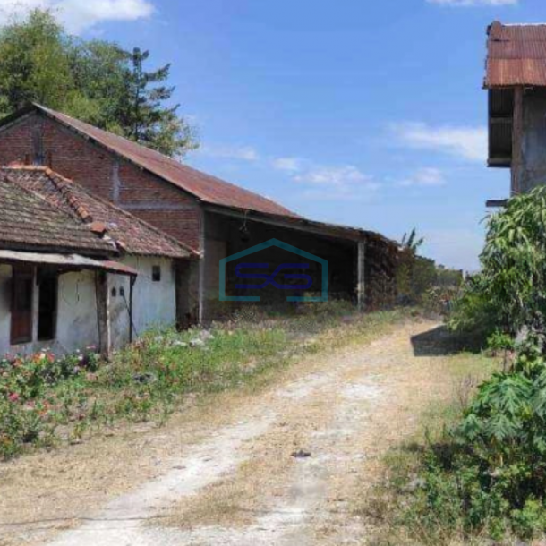 Dijual Gudang Luas Bangunan 800 m² Lokasi Tuban Jawa Timur-1