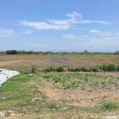 Dijual Gudang Luas Bangunan 800 m² Lokasi Tuban Jawa Timur