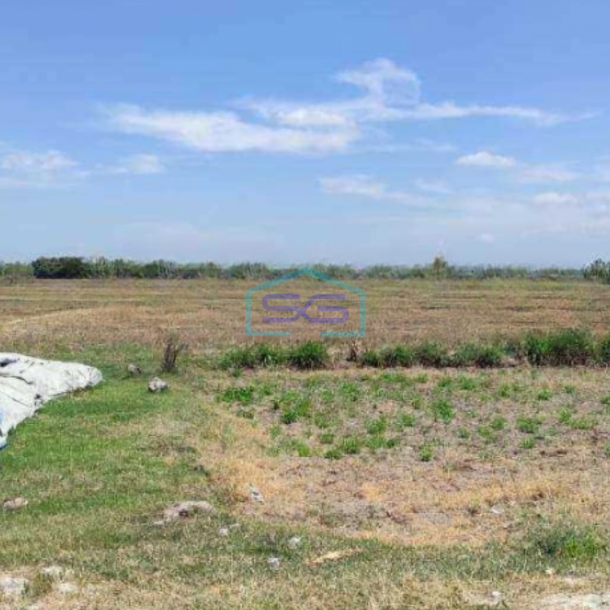 Dijual Gudang Luas Bangunan 800 m² Lokasi Tuban Jawa Timur-2