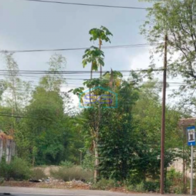 Dijual Tanah Luas 30000 m² Lokasi Pasuruan Jawa Timur