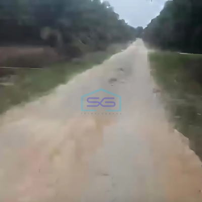 Dijual Tanah Kebun Sawit 200ha Di Siak Riau