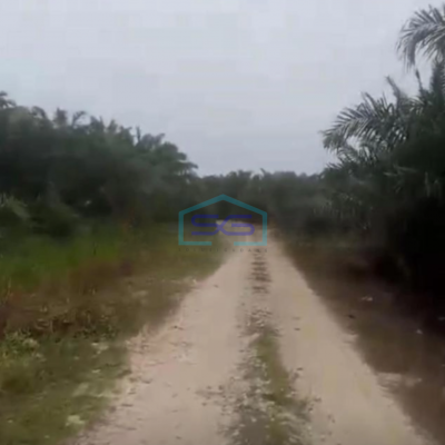 Dijual Tanah Kebun Sawit 200ha Di Siak Riau