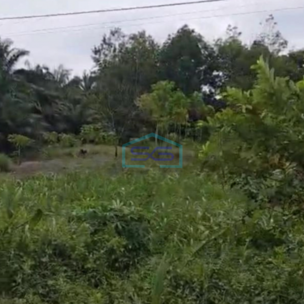 Dijual Tanah Di Siak Riau Luas Tanah 10000 m²-1