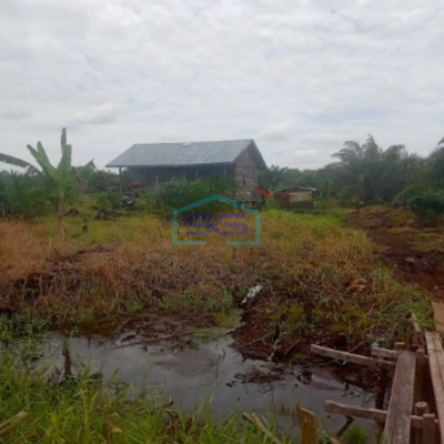 Dijual Tanah Kebun Sawit 263Ha Di Pelalawan Riau
