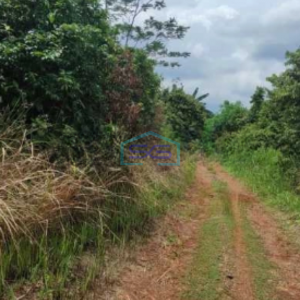 Dijual Tanah Seluas 23 Hektar Bebas Banjir Lokasi di Cariu Bogor-1