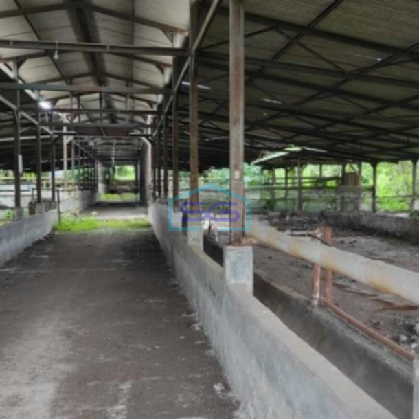 Dijual Tanah Seluas 23 Hektar Bebas Banjir Lokasi di Cariu Bogor-2