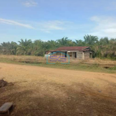 Dijual Tanah Kebun Sawit 550Ha Di Rokan Hilir Riau