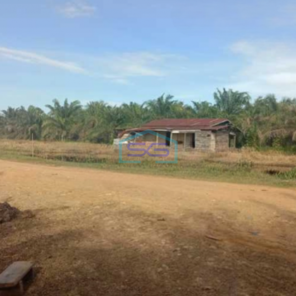 Dijual Tanah Kebun Sawit 550Ha Di Rokan Hilir Riau-4