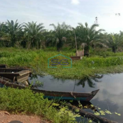 Dijual Tanah Kebun Sawit 550Ha Di Rokan Hilir Riau