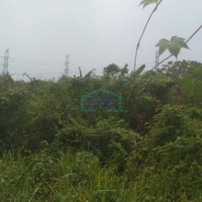 Dijual Tanah Luas  10000 m² di Petir Tangerang