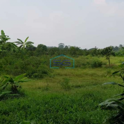 Disewakan Tanah di Pantai Indah Kapuk Jakarta Utara