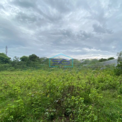 Dijual Tanah Luas 5950 m²  Lokasi Lippo Cikarang