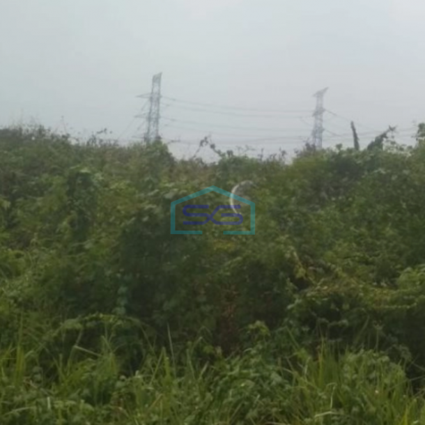 Dijual Tanah Lokasi Petir Tangerang Luas 10000 m²-1