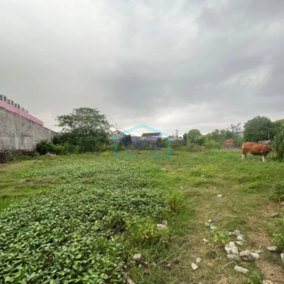 Disewakan Tanah 50 Are Denpasar Selatan Cocok gudang Dan Perumahan Mewah