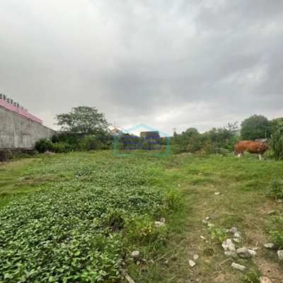 Disewakan Tanah 50 Are Denpasar Selatan Cocok gudang Dan Perumahan Mewah