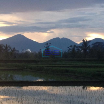 Dijual Tanah Rice Terace Ubud 4ha Cocok Untuk Hotel Dan Resort Di Gianyar