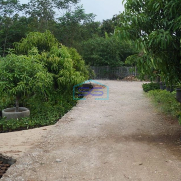 Dijual Tanah di Karawang Timur Luas Tanah 6000 m²-2