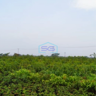 Dijual Tanah di Karawang Timur Luas Tanah 6000 m²