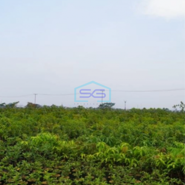 Dijual Tanah di Karawang Timur Luas Tanah 6000 m²-1