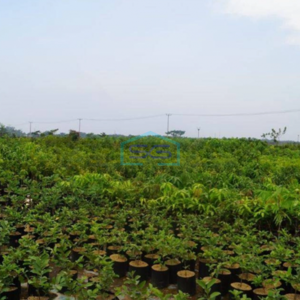 Dijual Tanah Luas Tanah 6000 m² di Karawang Timur-1