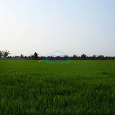 Dijual Tanah Zona Kuning Di Jl Raya Cabangbungin Kabupaten Bekasi LT 40527m2