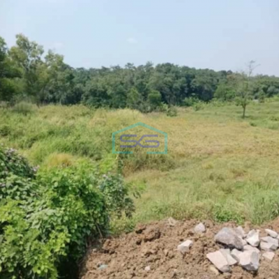 Dijual Tanah Siap Bangun Di Subang Jawa Barat Luas 200 Hektar