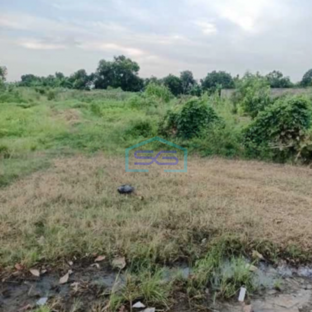 Dijual Tanah Siap Bangun Di Subang Jawa Barat Luas 200 Hektar-1