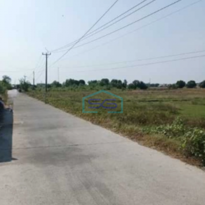 Dijual Tanah Siap Bangun Di Subang Jawa Barat Luas 200 Hektar