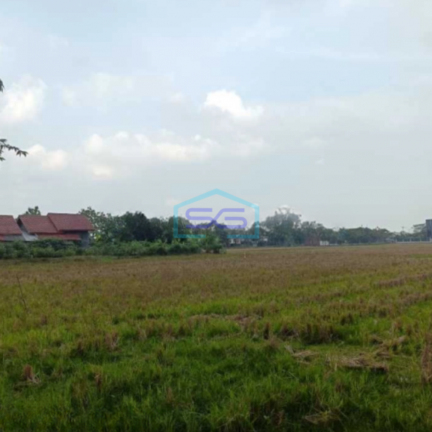 Dijual Tanah Siap Bangun Di Sumber Jaya Majalengka Jawa Barat Luas Tanah 30000m2-5