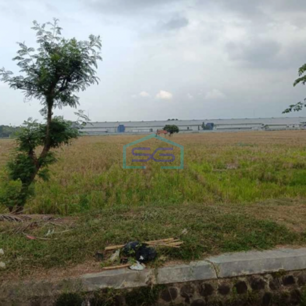 Dijual Tanah Siap Bangun Di Sumber Jaya Majalengka Jawa Barat Luas Tanah 30000m2-4