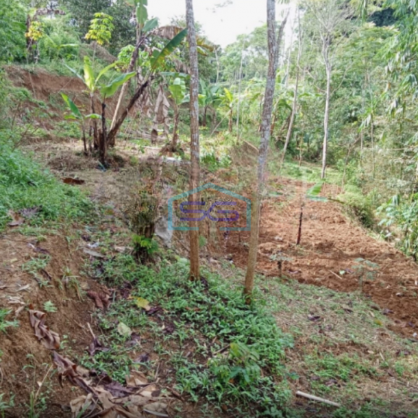 Dijual Tanah Daerah Bojongsari Purwakarta Jawa Barat-1