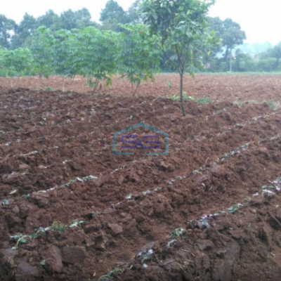 Dijual Tanah Siap Bangun Di Rancamaya Bitung Sari Bogor LT 17000m2