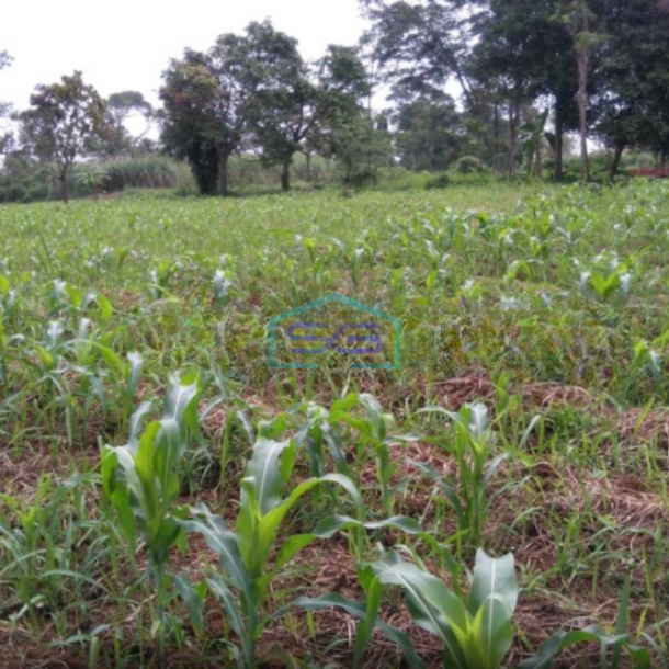 Dijual Tanah Siap Bangun Di Rancamaya Bitung Sari Bogor LT 17000m2-2