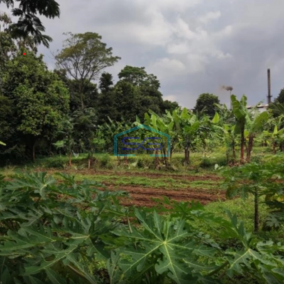 Dijual Tanah Di Rancamaya Bogor Luas Tanah 10895m2 SHM
