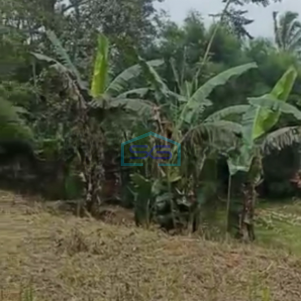 Dijual Tanah Di Caringin Bogor Dekat Exit Tol Caringin Luas Tanah 14500m2-2