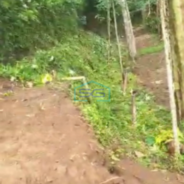 Dijual Tanah Di Caringin Bogor Dekat Exit Tol Caringin Luas Tanah 14500m2-1