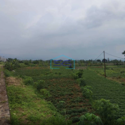 Dijual Tanah Di Mega Mendung Bogor Dengan Luas 40 Hektar-3