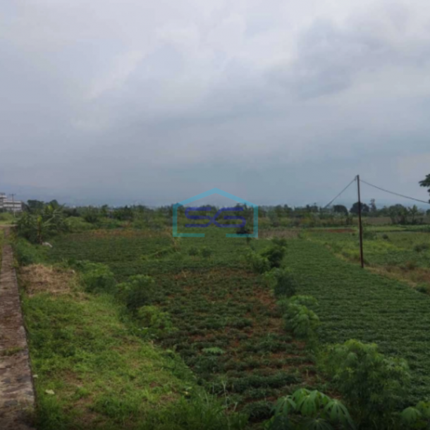 Dijual Tanah Di Mega Mendung Bogor Dengan Luas 40 Hektar-3