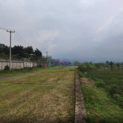 Dijual Tanah Di Mega Mendung Bogor Dengan Luas 40 Hektar