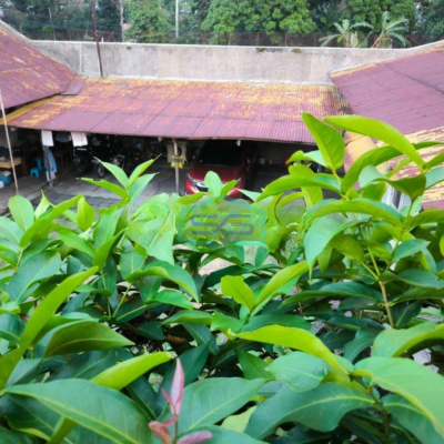 Dijual Tanah Lokasi Strategis di Bogor LT 6715m2